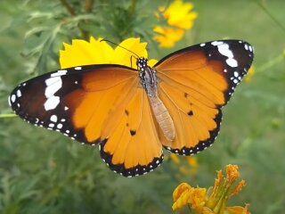 Погода в Україні