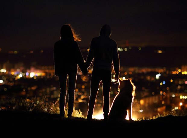 Прогулка с собакой, кадр из видео