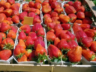 Клубника, изображение из свободных источников