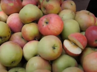 Ціни на яблука в Україні