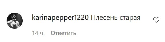 Комментарии со страницы Ларисы Долиной в Instagram