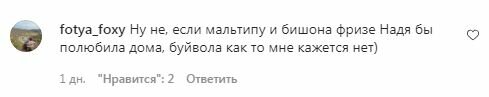 Коментарі на пост Володимира Дантеса в Instagram