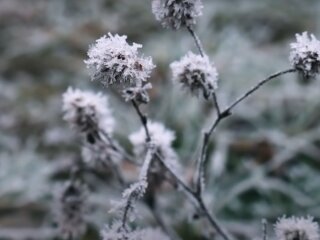Погода в Україні