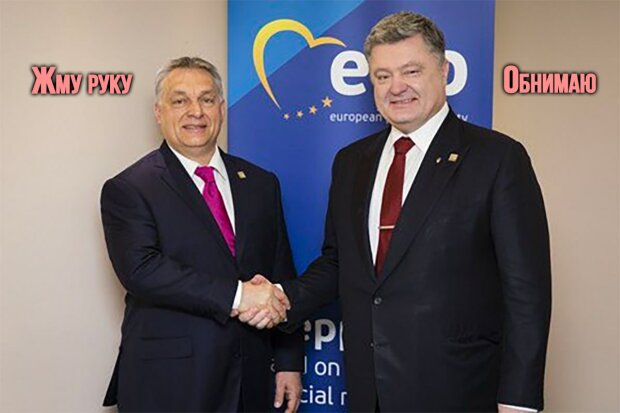 Петро Порошенко та Віктор Орбан, фото із соцмереж