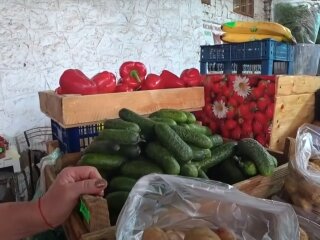 Стоимость огурцов в Украине