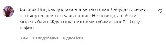 Комментарии со страницы Светланы Лободы в Instagram