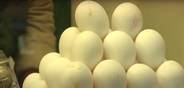 Стоимость яиц в Украине