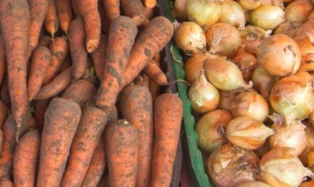 Морква та цибуля, кадр з відео