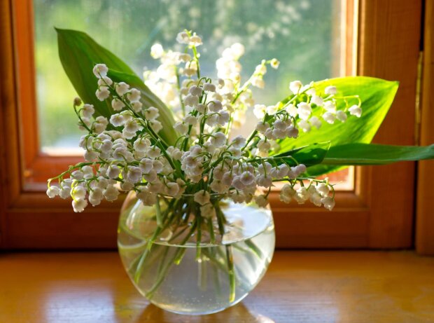 Ландыш, кадр из видео