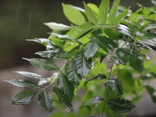 Погода в Україні