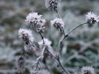 Погода в Україні