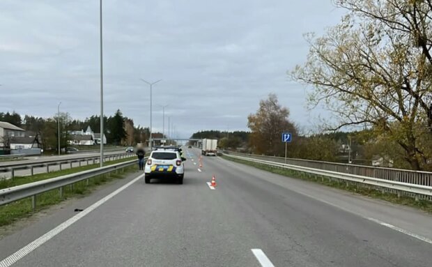 ДТП на Житомирской трассе, фото: Нацполиция