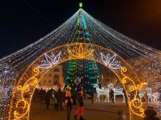 Ялинка, Новий рік, фото: uafinance.net