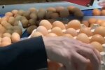 Стоимость яиц в Украине