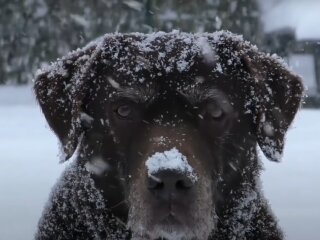 Погода в Україні