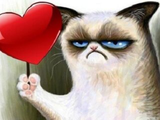 День Святого Валентина, фото з вільних джерел