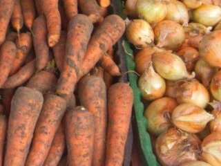 Морковь и лук, кадр из видео