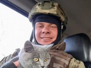 Фото Дмитрия Комарова