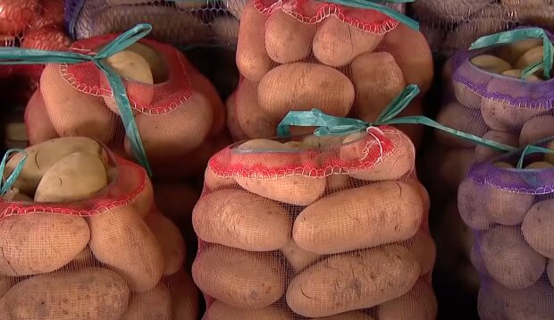 Стоимость борщевого набора в Украине