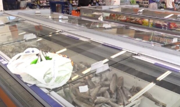 Рыба, супермаркет, кадр из видео