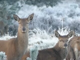 Погода в Україні
