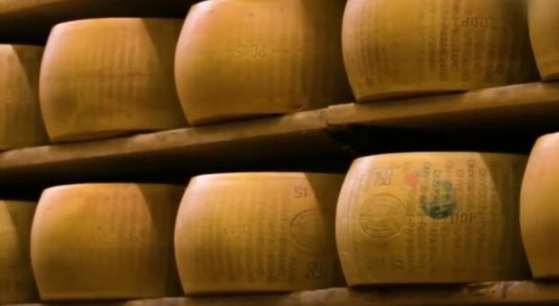 Ціни на сир в Україні