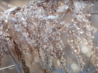 Погода в Україні