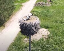 Погода в Україні