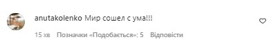 Коментарі зі сторінки "zirkovyi_shlyah" в Instagram