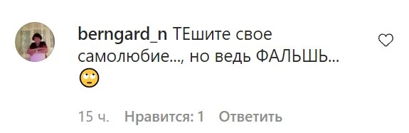 Комментарии со страницы Ларисы Долиной в Instagram