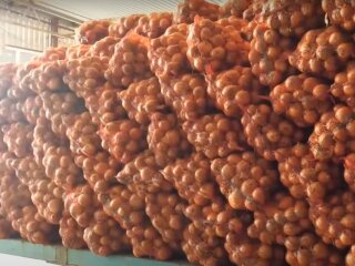 Ціни на цибулю в Україні