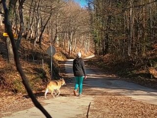 Погода в Україні