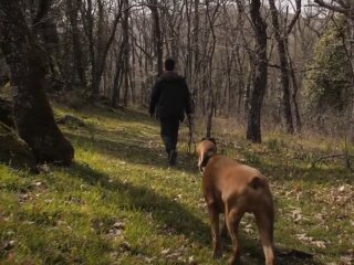 Погода в Україні