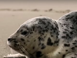 Погода в Україні