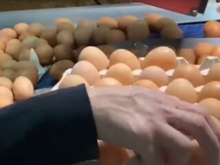 Вартість яєць в Україні