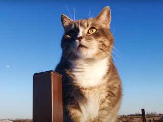 Погода в Україні