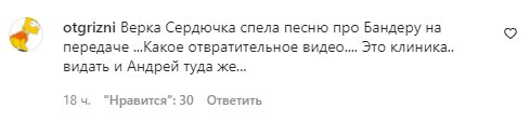Коментарі на пост Вєрки Сердючки в Instagram
