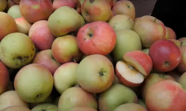 Ціни на яблука в Україні