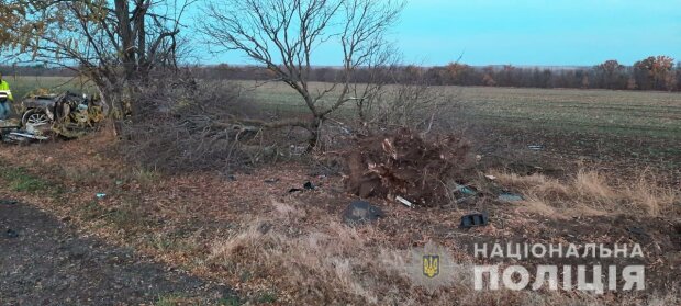 ДТП в Херсонской области