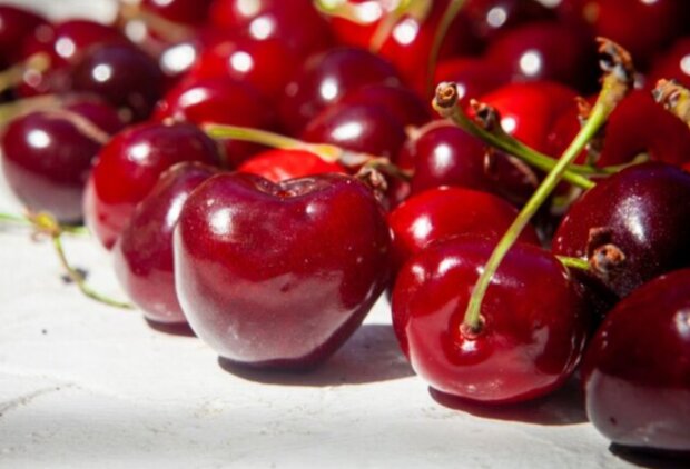 Черешня, зображення з вільних джерел