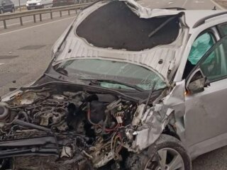 ДТП у Львівській області