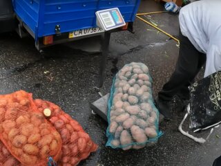 Цены на картофель в Украине