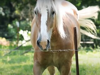 Погода в Україні