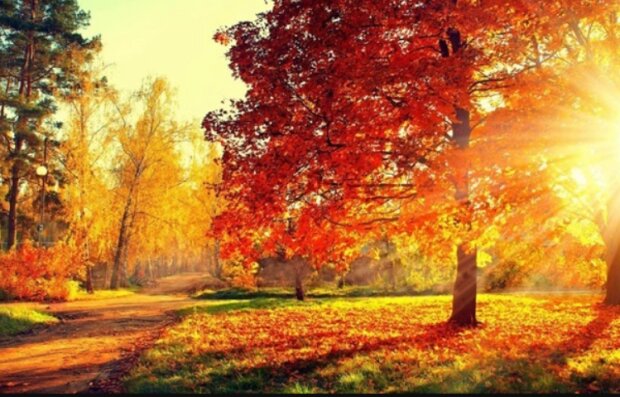 Осень, фото из свободных источников