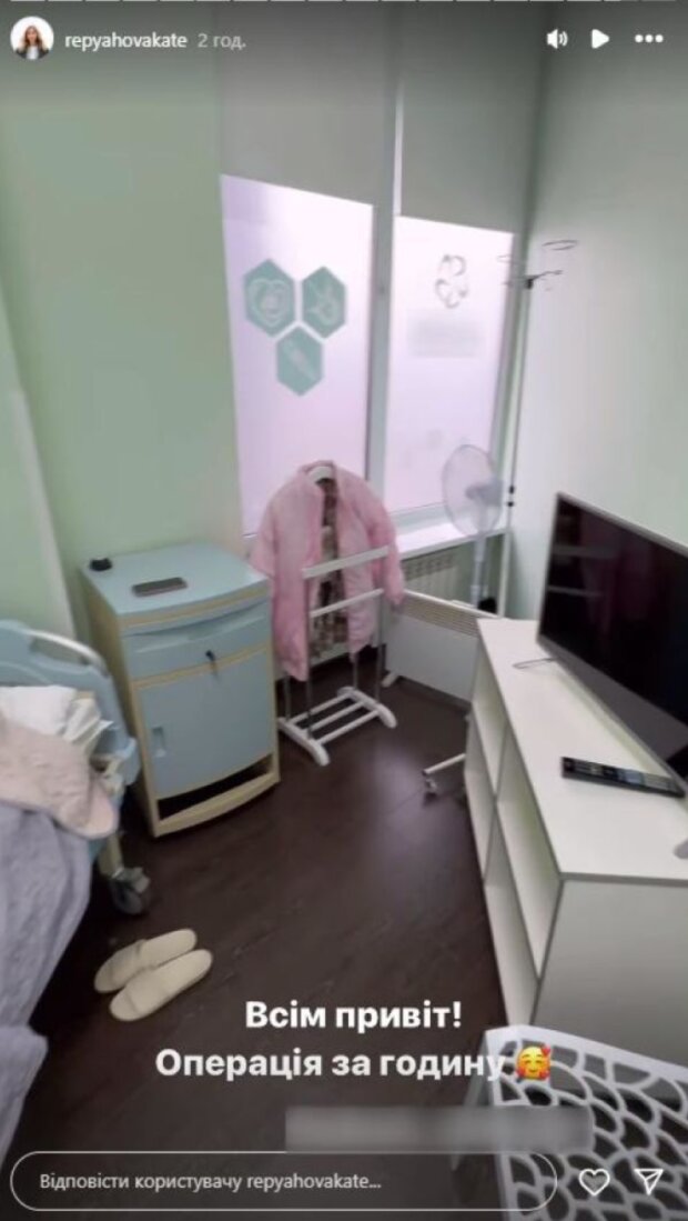 Сториз Каті Репяхової