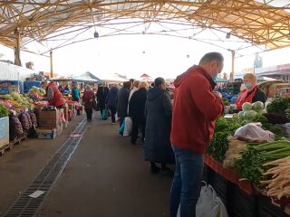 Стоимость огурцов в Украине