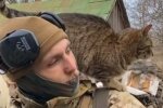 ВСУ и котики, иллюстрационное фото