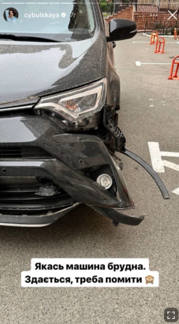 Сториз Олі Цибульської