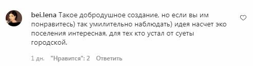 Коментарі на пост Володимира Дантеса в Instagram