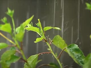 Погода в Україні